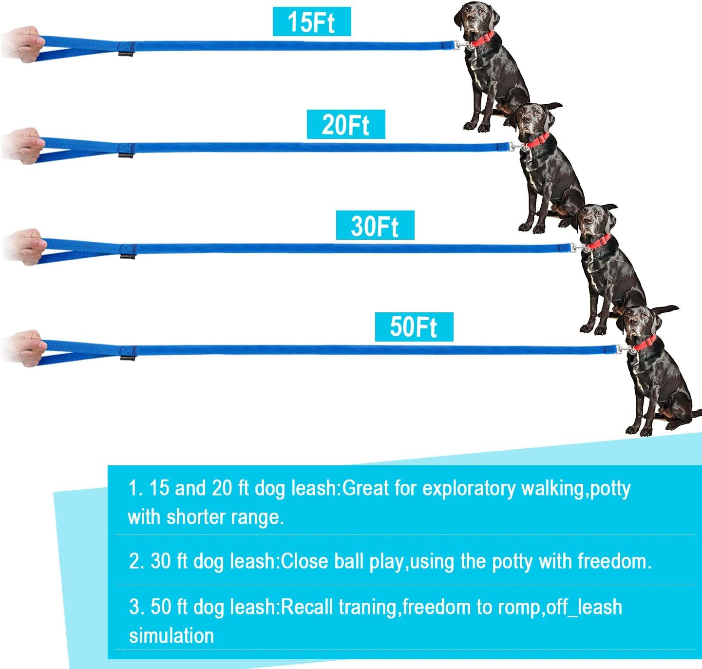 Dog Leash for Small Medium Large Dogs,Long Dog Leashes for Obedience Recall Training,Camping,20Ft,Blue