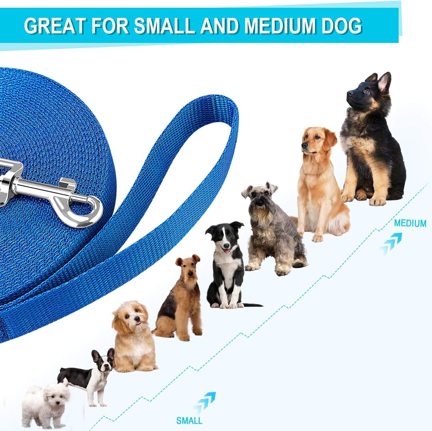 Dog Leash for Small Medium Large Dogs,Long Dog Leashes for Obedience Recall Training,Camping,20Ft,Blue