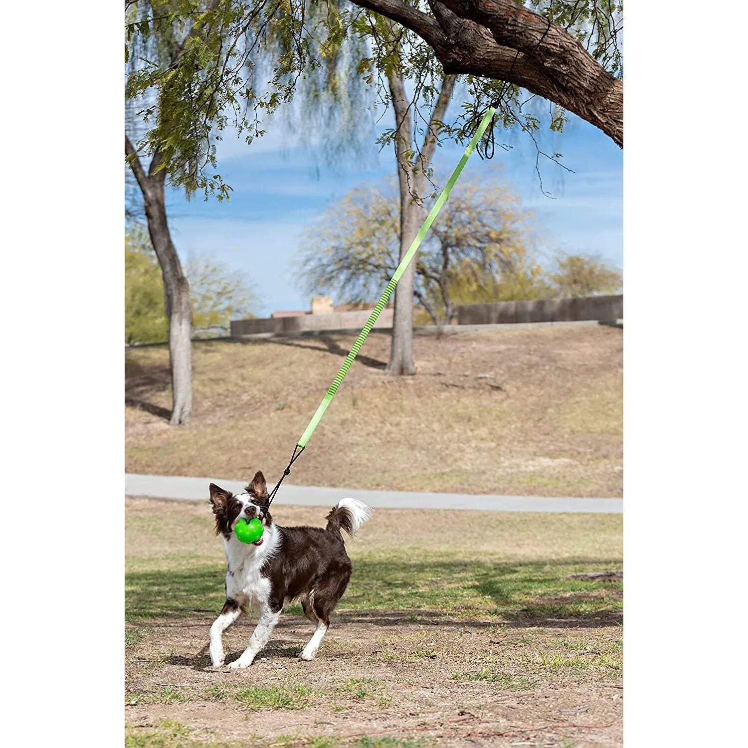 JP071  Tree Tugger Bungee, Green - Large